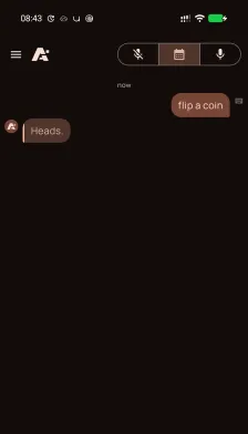 Coin Flip on Android