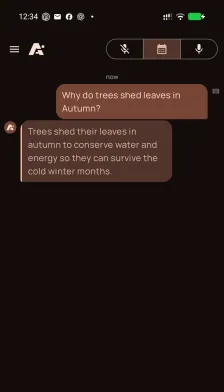 Gemini on Android