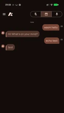 Wasm Echo on Android