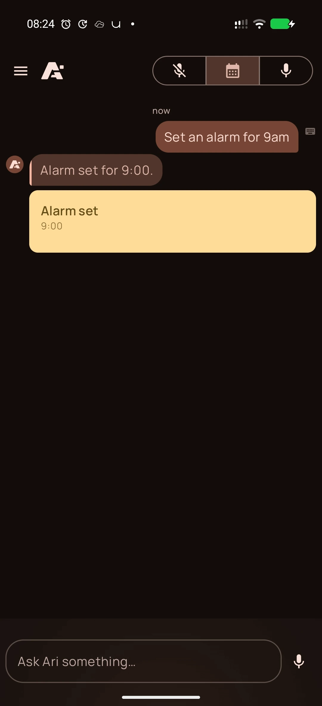 Alarm on Android, screenshot 1