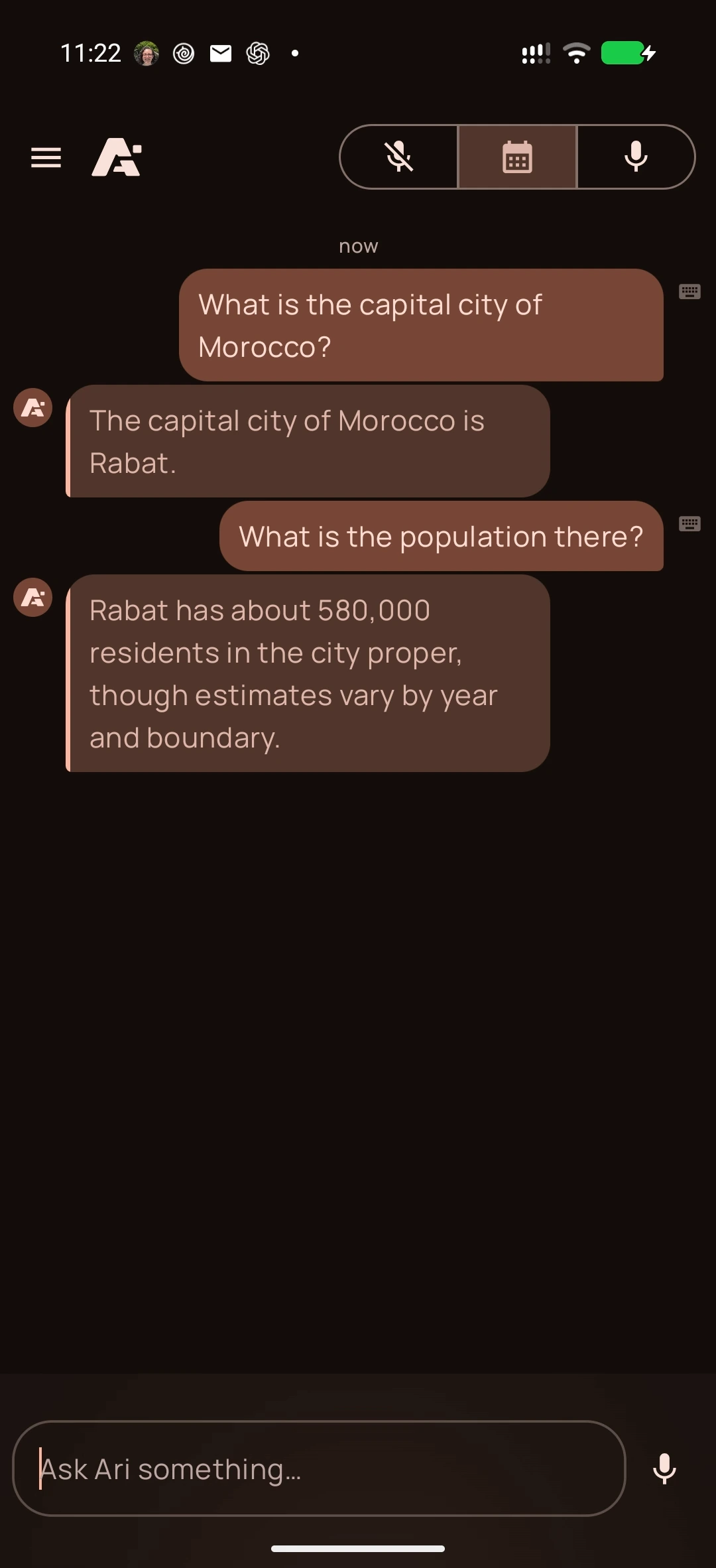 Chatgpt on Android, screenshot 2