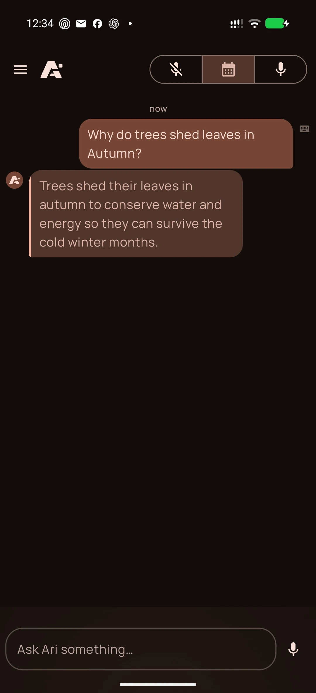 Gemini on Android, screenshot 1