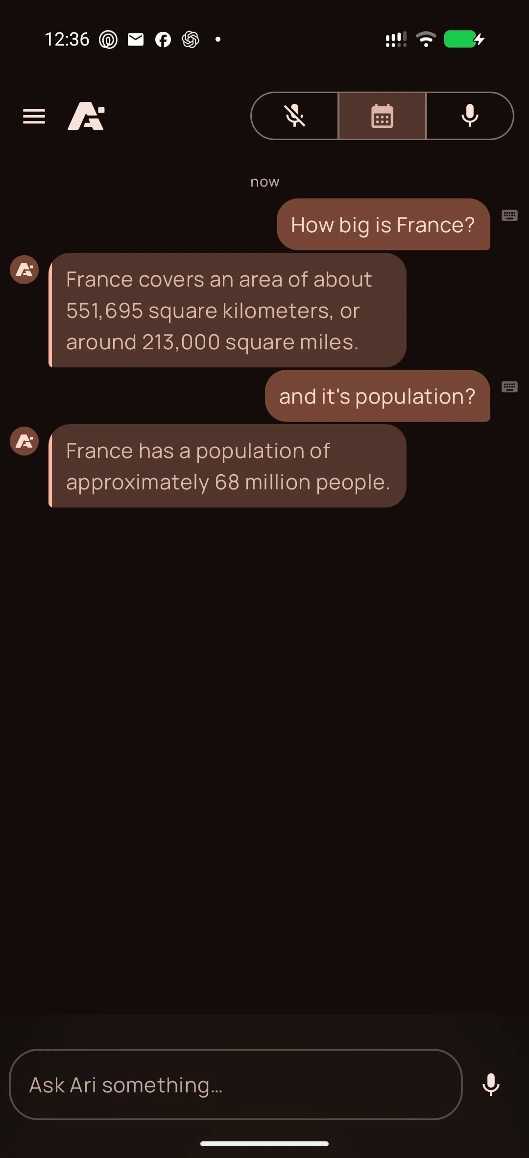 Gemini on Android, screenshot 2