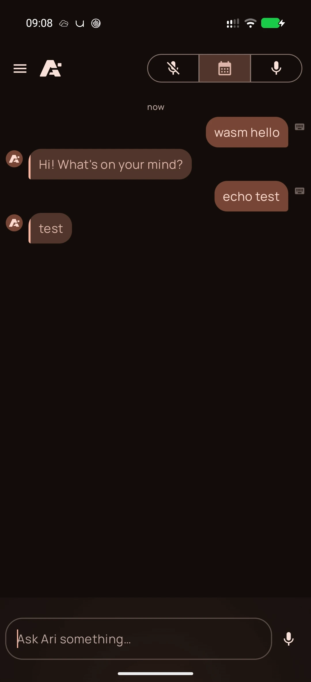 Wasm Echo on Android, screenshot 1